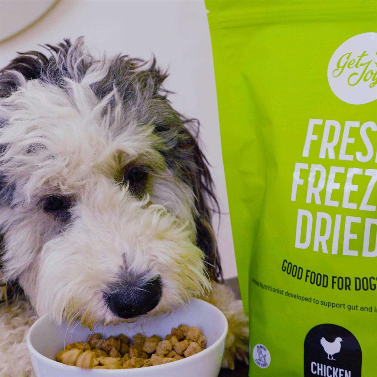 Freeze Dried Raw Beef Dog Food D214