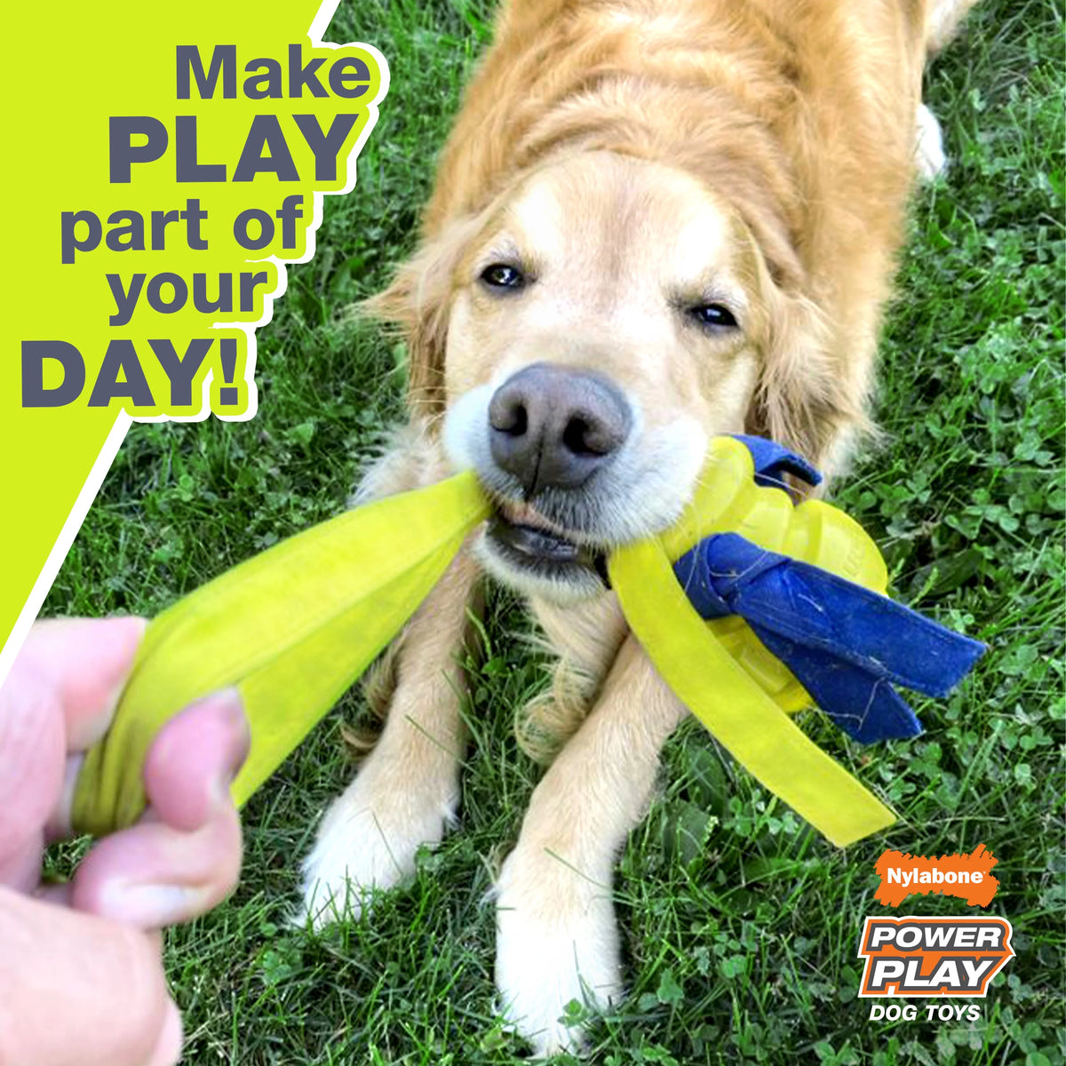 Tennis Play 'n Fetch Interactive Dog Toy Y103497