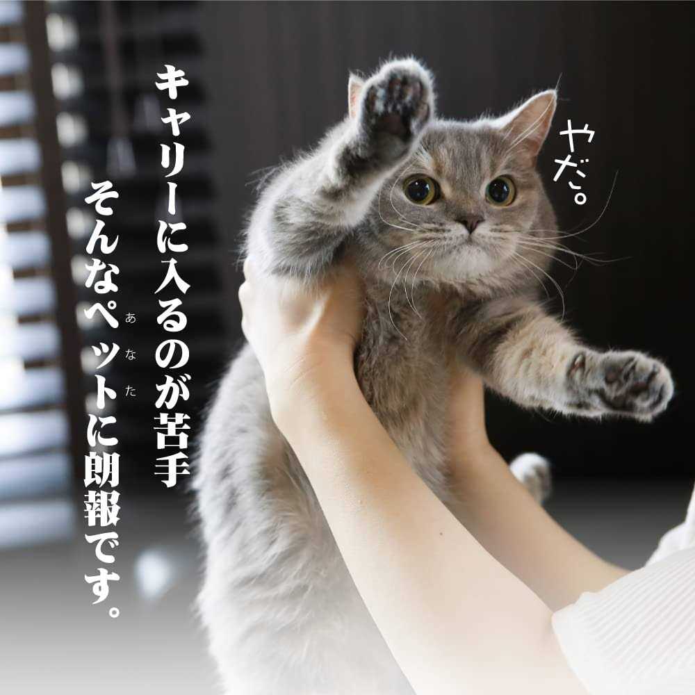 Cat Carrier with Drawer F709420
