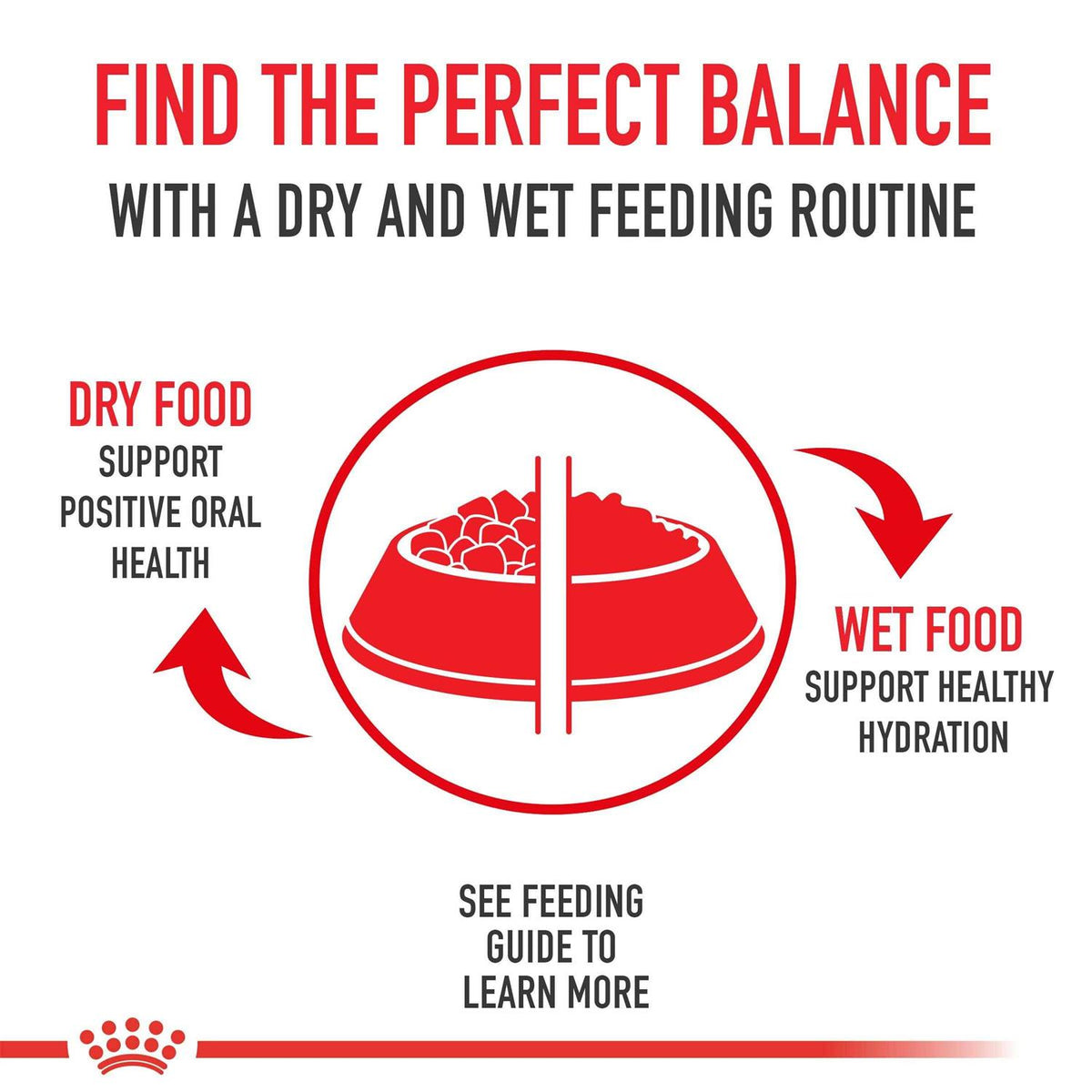 Adult Dry Dog Food F50885