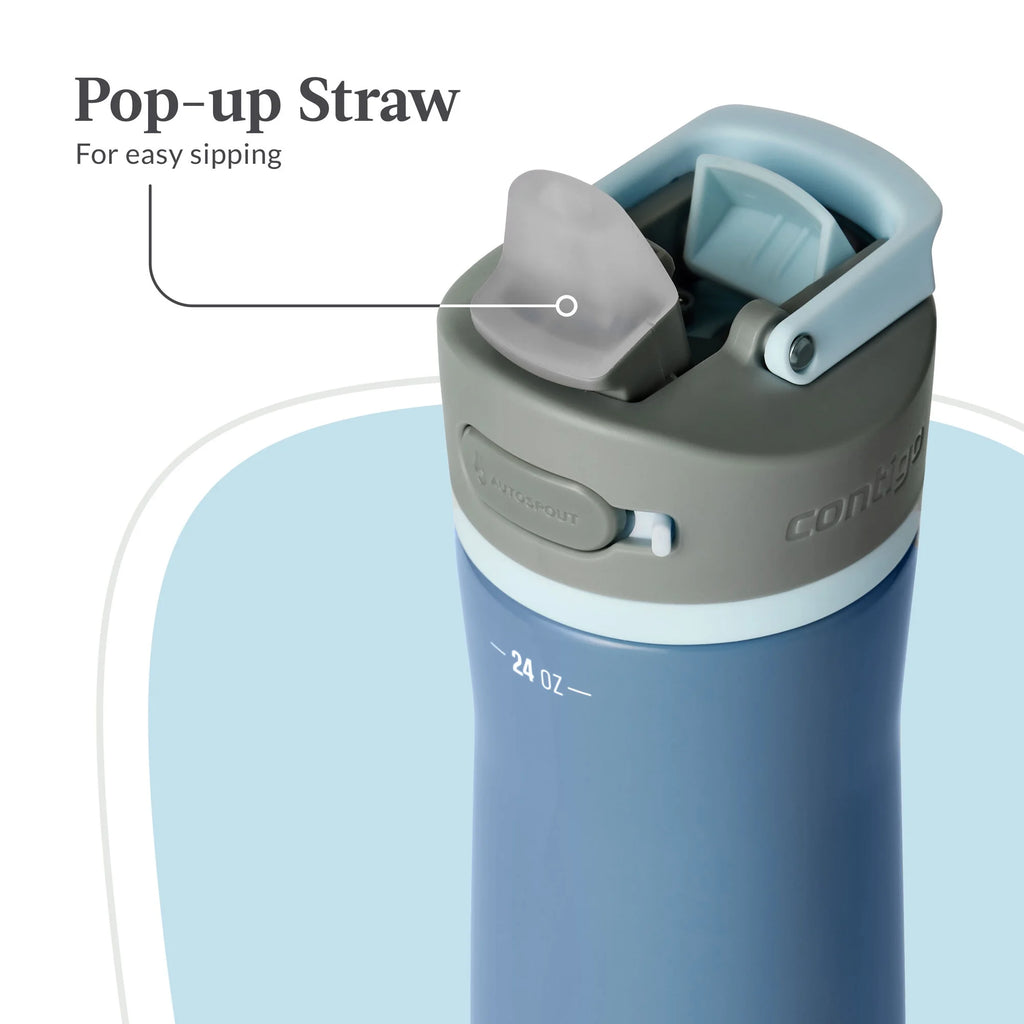 24 oz Stainless Steel Water Bottle with Straw Lid H25401
