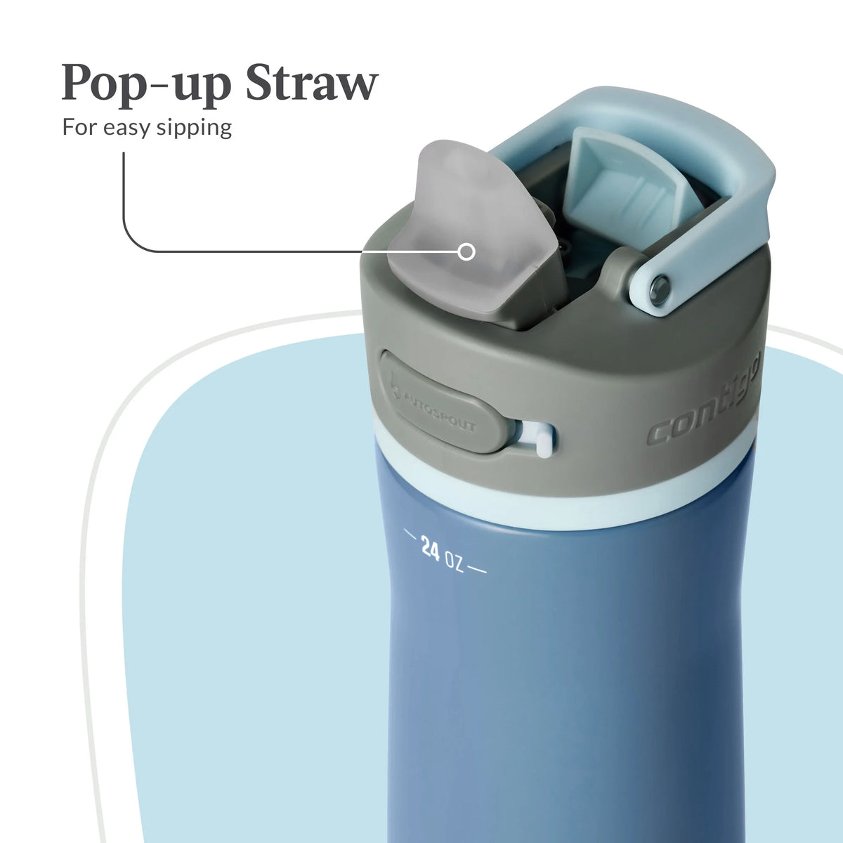 24 oz Stainless Steel Water Bottle with Straw Lid H25401