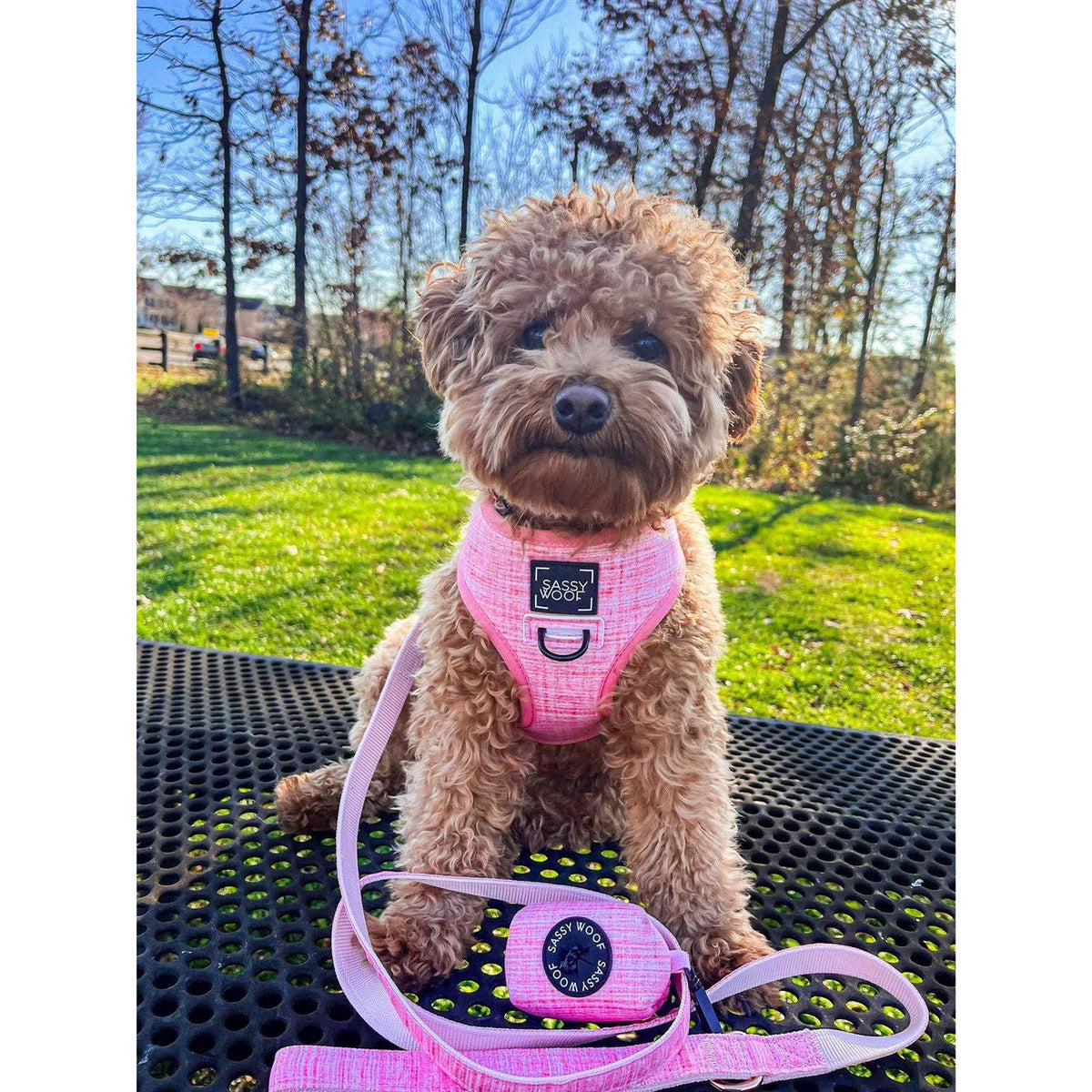 Reversible Dog Harness W20224
