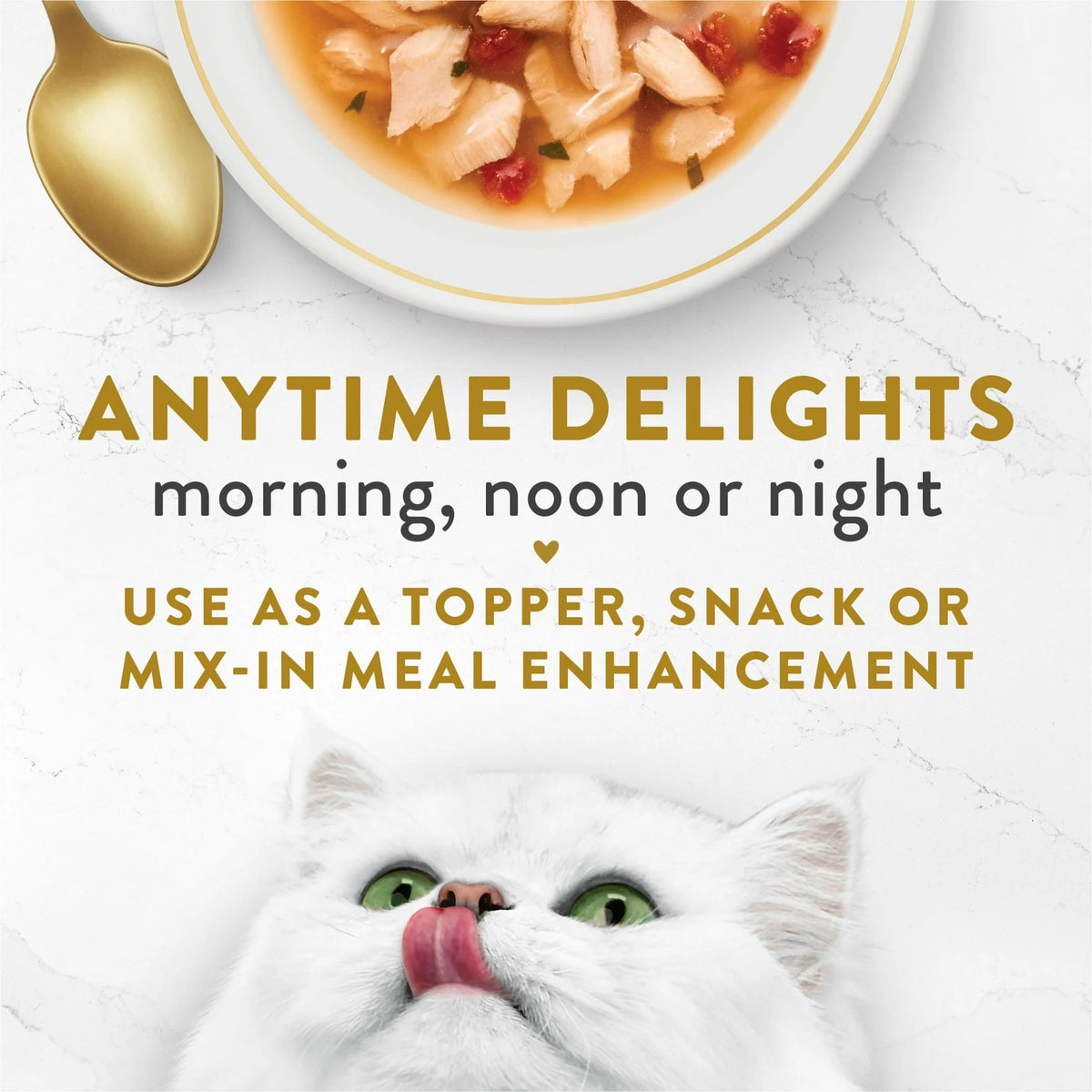 1.4 oz Wet Cat Food with Wild Salmon N481862