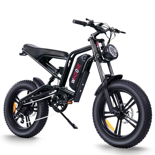 Electric Bike 48V 13Ah 750W 20" Fat Tires UL Certified D7815