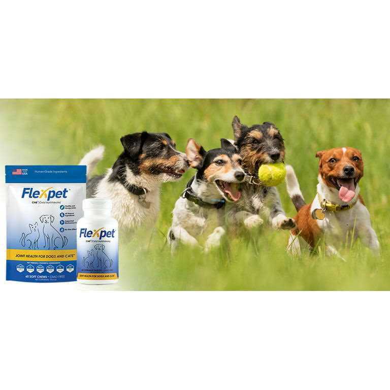Pet Supplies C104