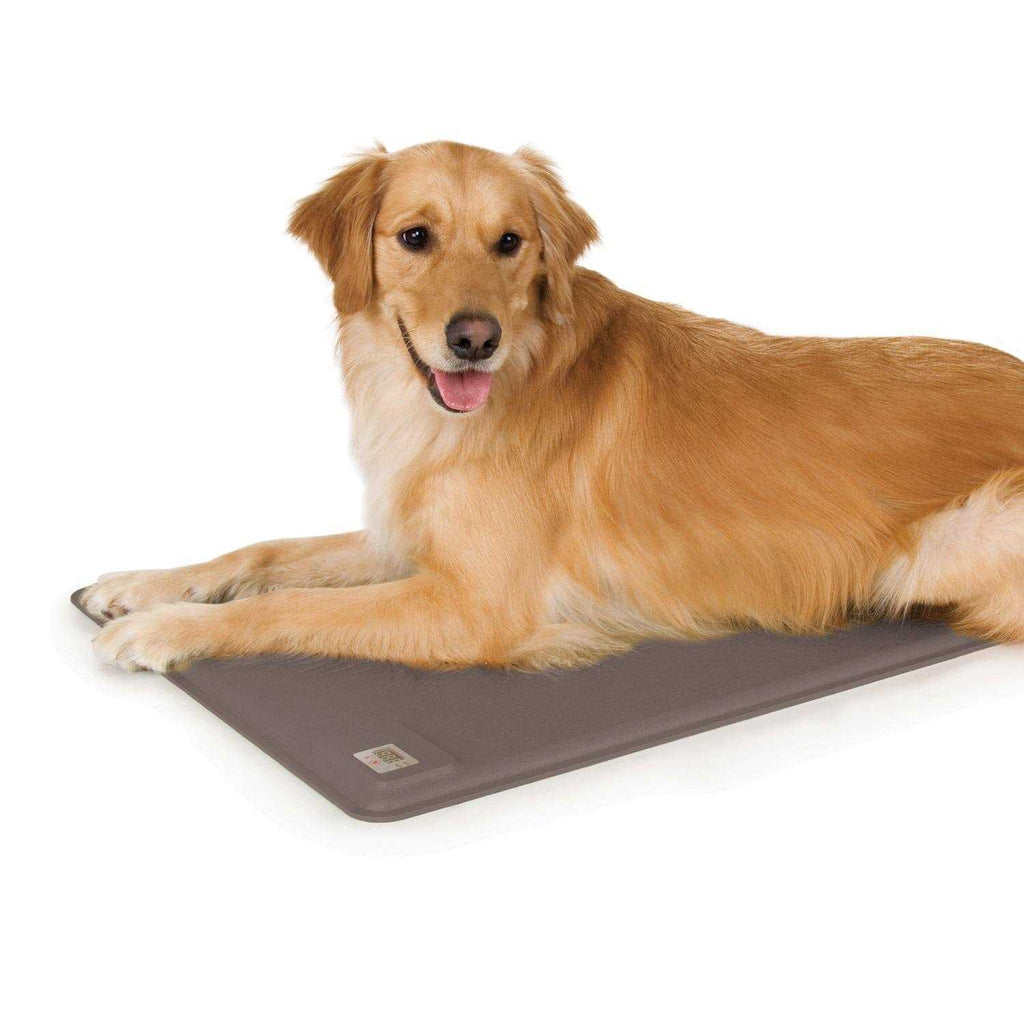 Pet Products P913500
