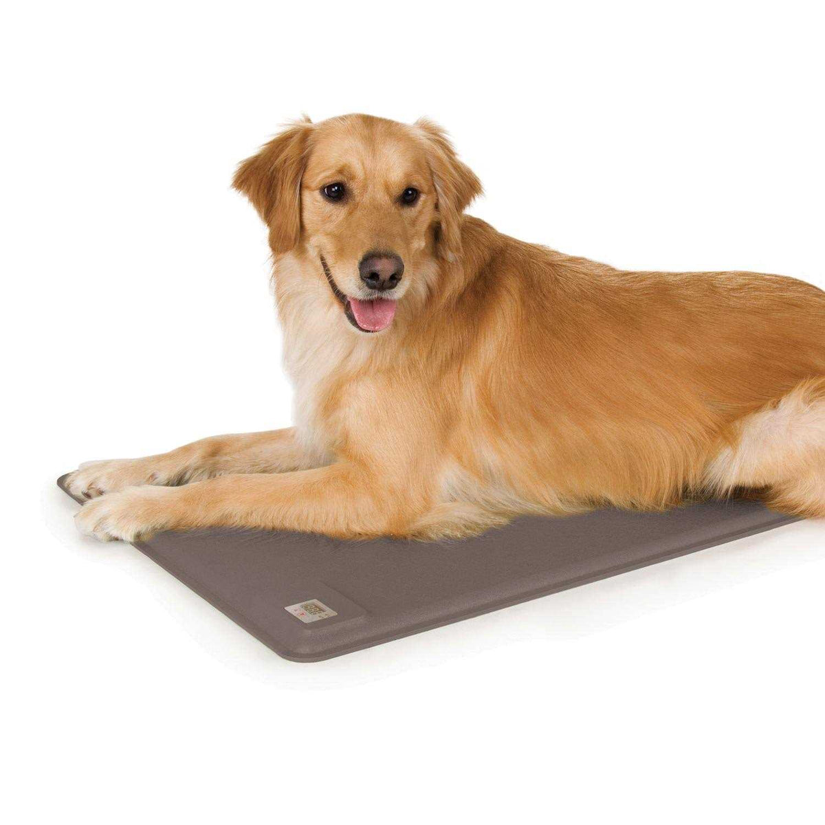 Pet Products P913500