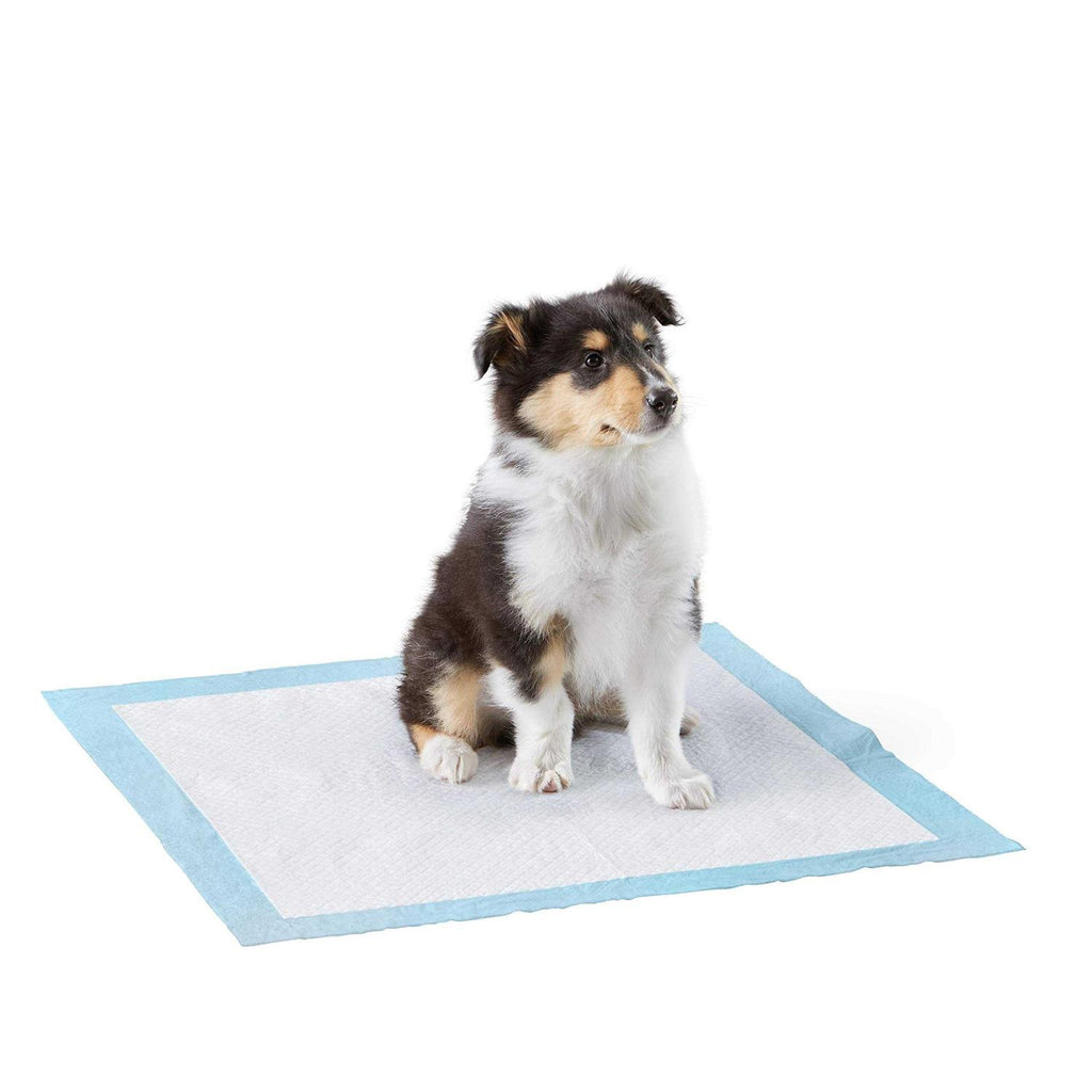 Dog and Puppy Pee Pads with 5-Layer Leak-Proof Design M75756