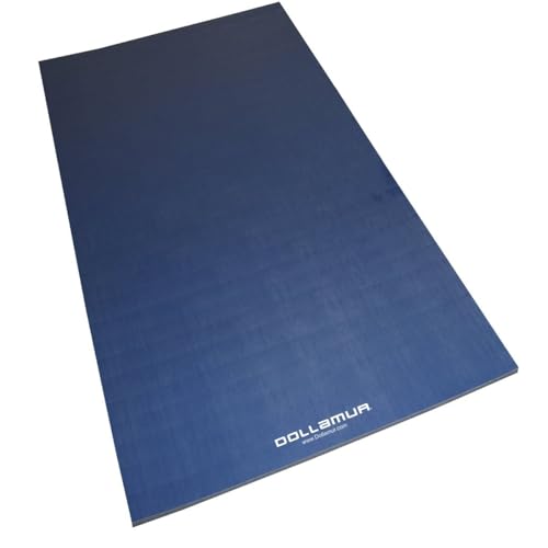 5'x10' Wrestling Mat O781