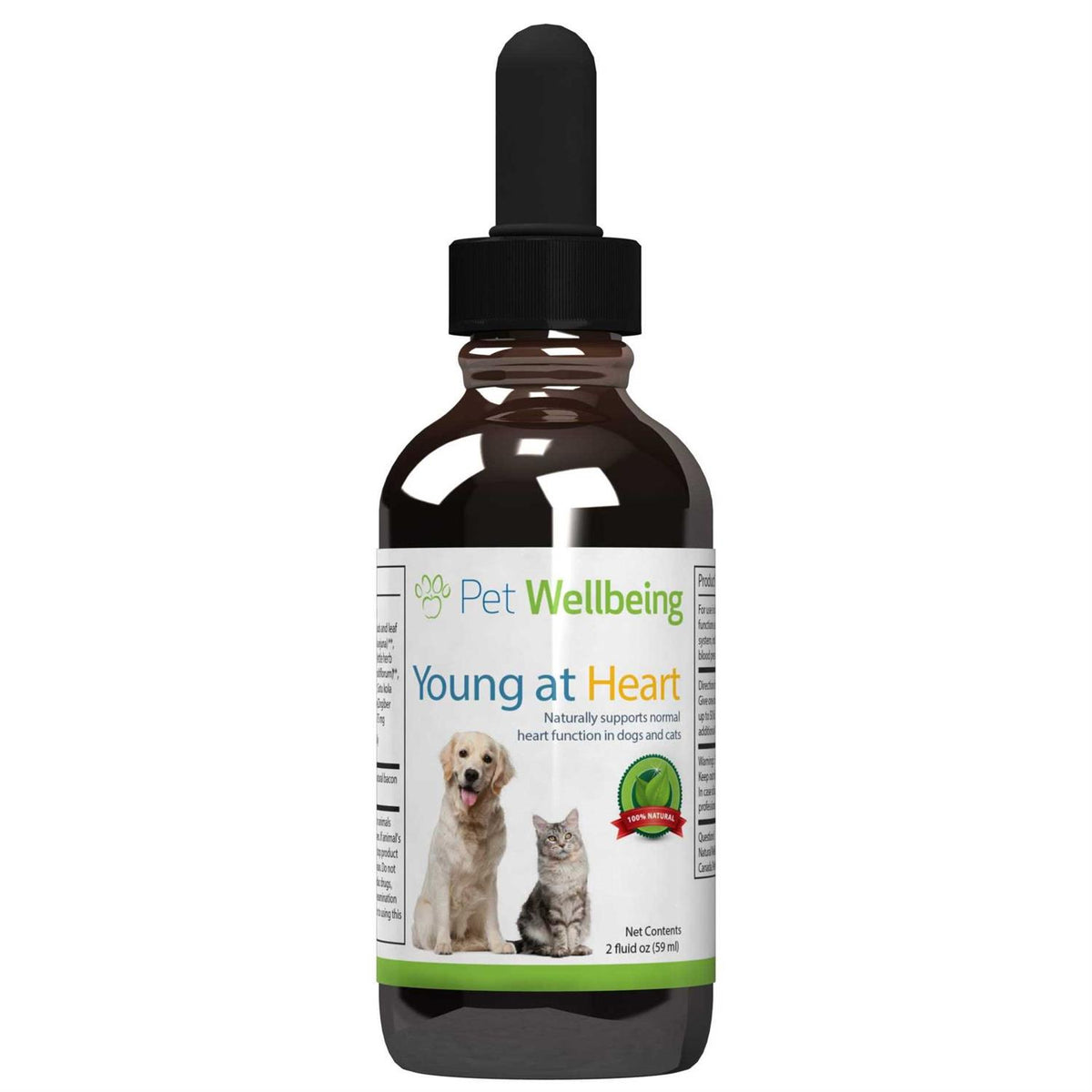 Young at Heart for Cats K4441