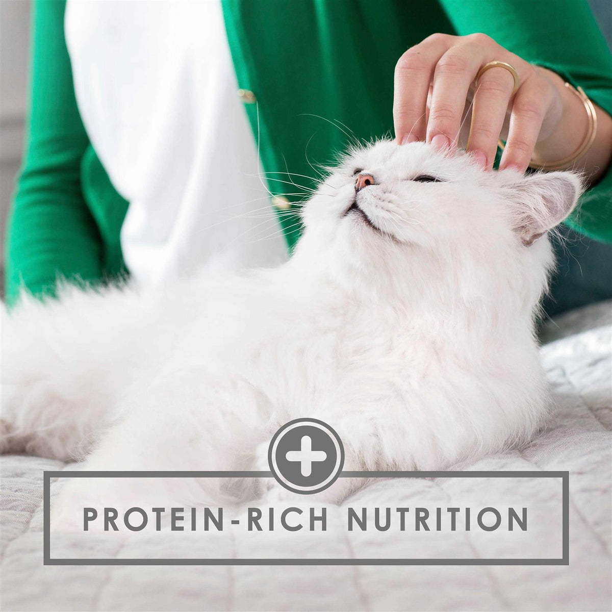 Wet Cat Food W97359