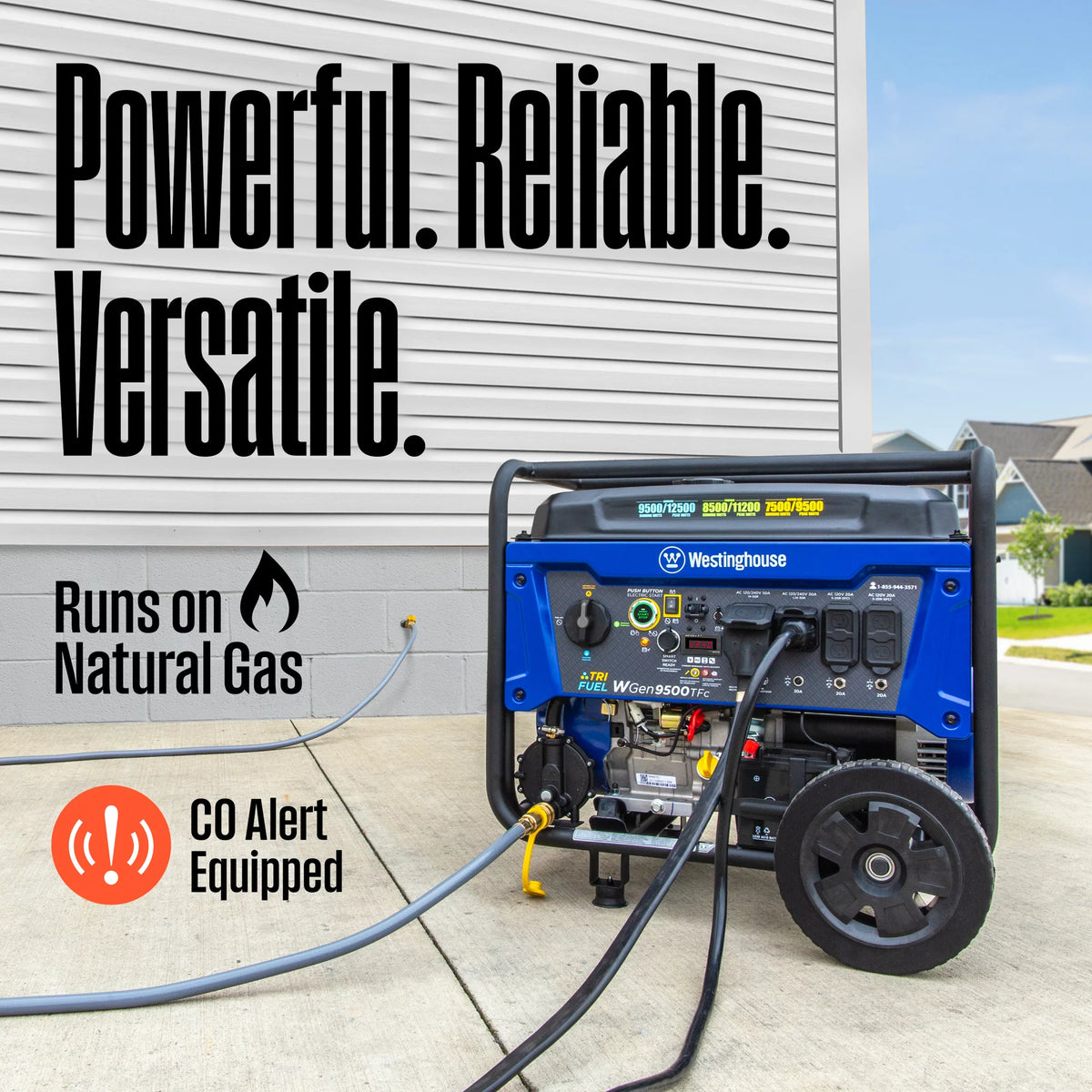 12,500 Peak Watt Dual Fuel Portable Generator A376