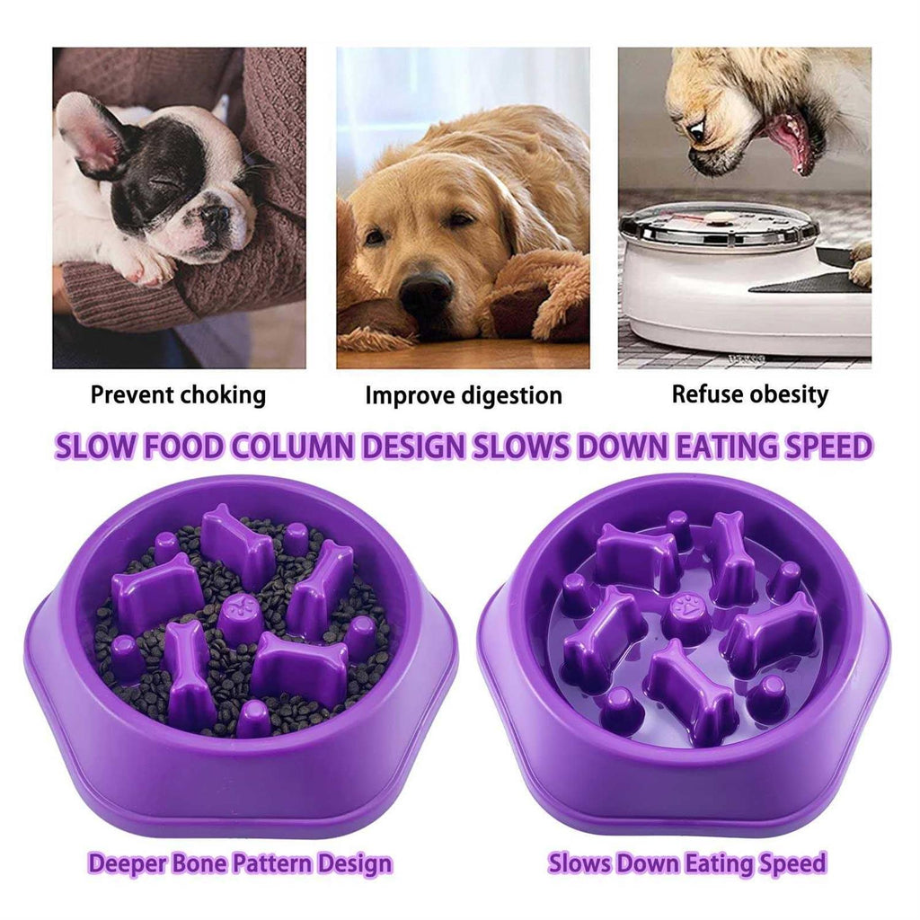 Slow Feeder Non Slip Dog Bowl X62233