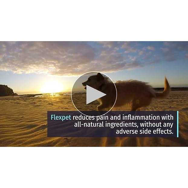 Pet Supplies C104