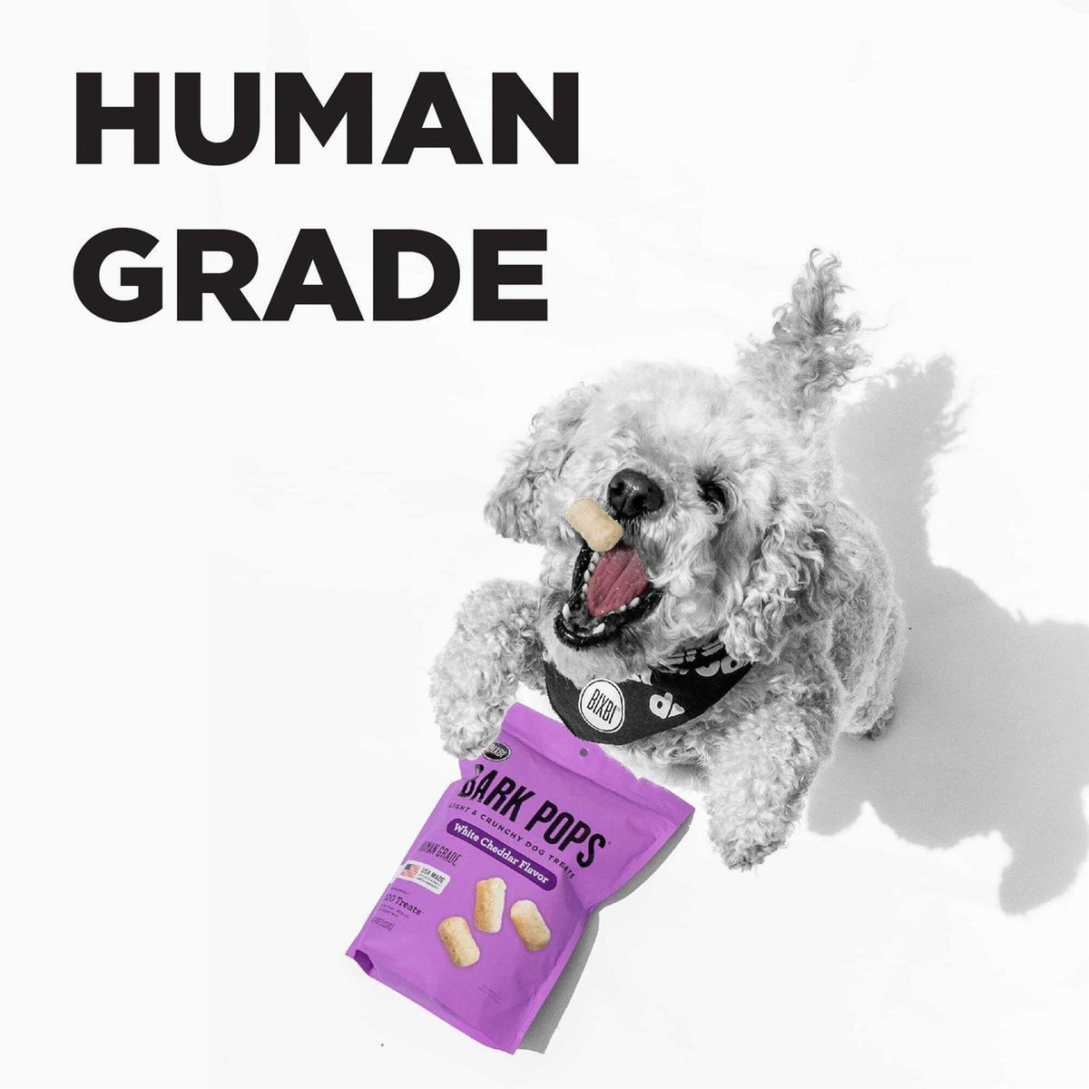 Dog Treats F29541