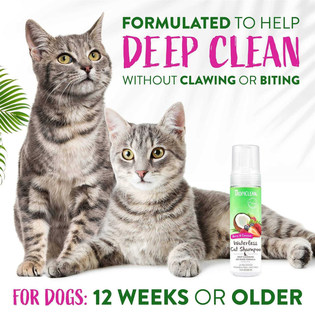 Waterless Deep Cleaning Cat Shampoo Y53283