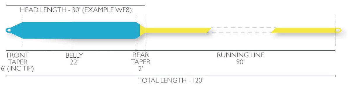 Floating Fly Line A344694