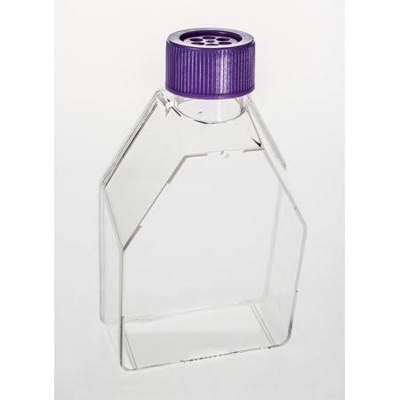 Tissue Culture Flask, 12.5cm2, Vent Cap X342