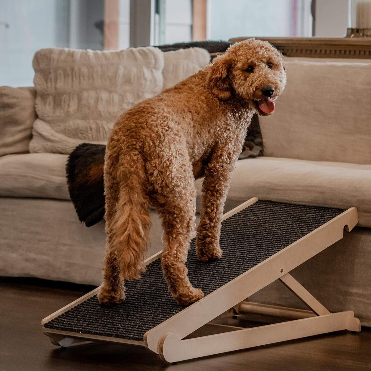Adjustable Dog Ramp with Paw Traction Mat, 40" Long, 14” to 24”, Rated for 200LBS T311