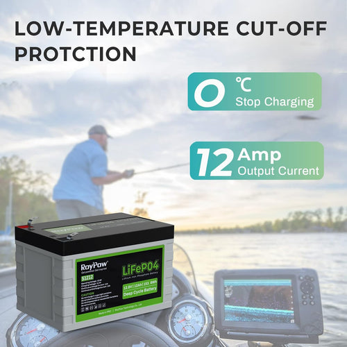 12V 12Ah Deep Cycle LiFePO4 Battery, Pack of 2 V692585