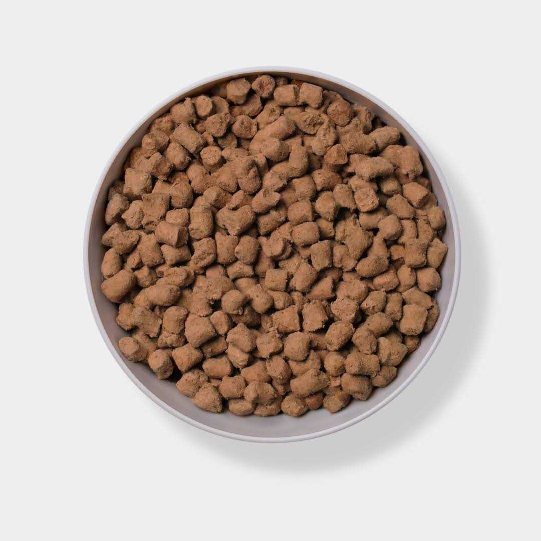 Freeze Dried Raw Beef Dog Food D214