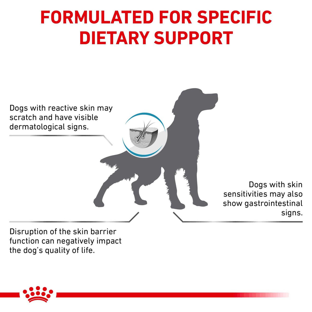 Veterinary Diet Skin Support Dry Dog Food Z456