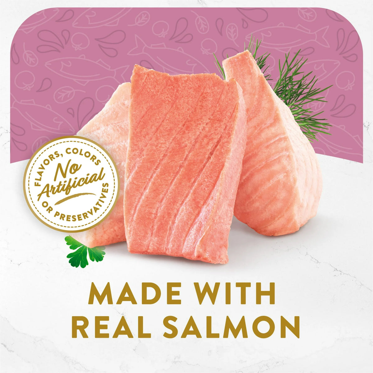1.4 oz Wet Cat Food with Wild Salmon N481862