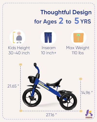 Blue Kids Tricycle M8539