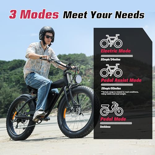 Electric Bike 48V 13Ah 750W 20" Fat Tires UL Certified D7815