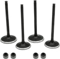 Intake Exhaust Engine Valves Seals for Polaris Predator 500 Outlaw 500 2003-2007 Y7895