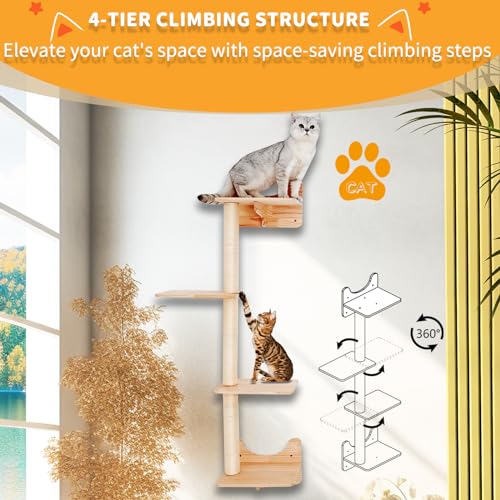 Cat Wall Shelves with 3 Steps H2940