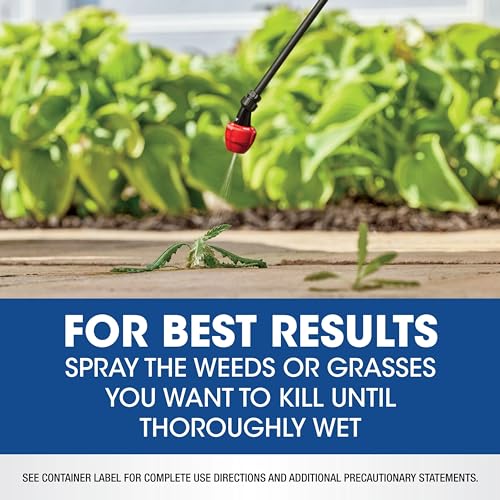 0.5 gal. Weed & Grass Killer R318