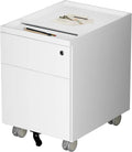 2 Drawer Mobile Metal File Cabinet with Lock, Cloud White W749