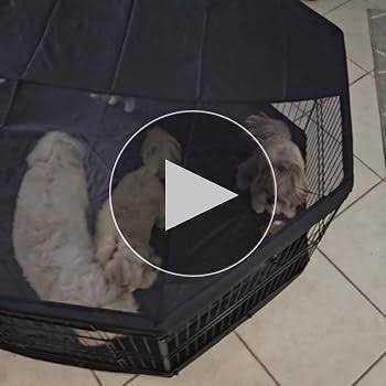 8 Panels Foldable Metal Dog Exercise Pen with Top Cover and Bottom Pad R36156