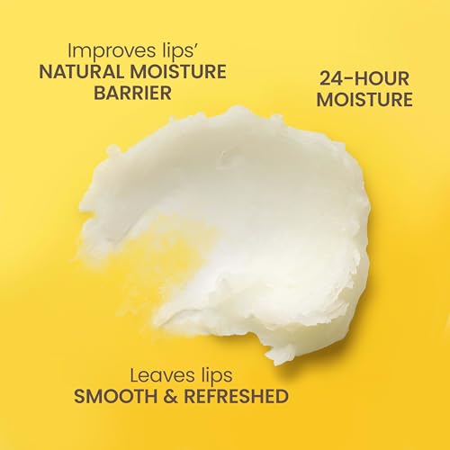 4 Pack Fruit Lip Balm T212