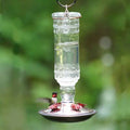 Clear Glass Hummingbird Feeder N50701