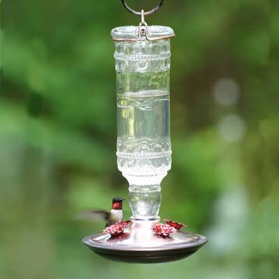 Clear Glass Hummingbird Feeder N50701