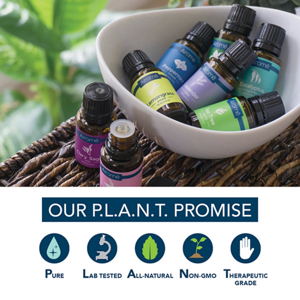 Organic Lavender Essential Oil 2 Pack C46269