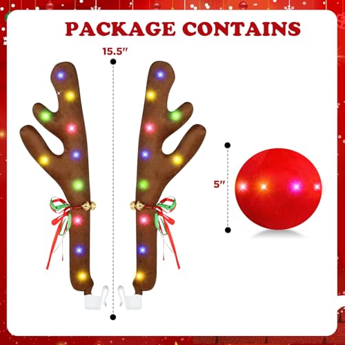 Car Reindeer Antlers & Nose with Lights A493899