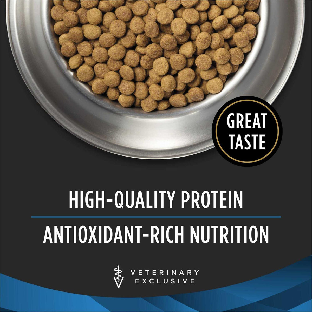 Dry Dog Food H3909