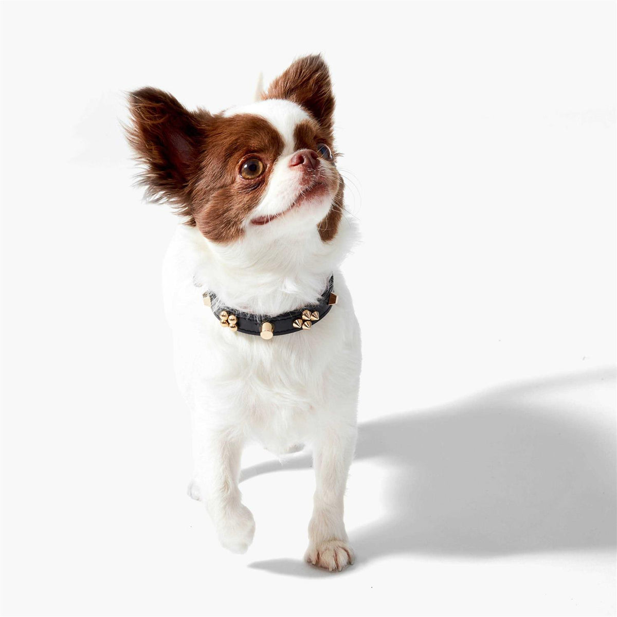 Collar N3998