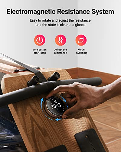 Foldable Water Rowing Machine with 400LBS Weight Capacity Y676821