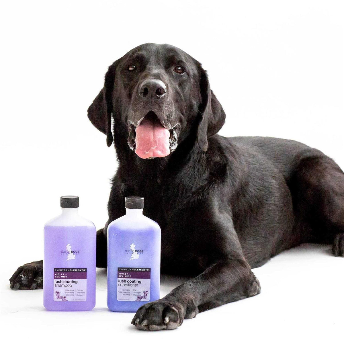 Violet & Sea Mist Dog Shampoo K276277