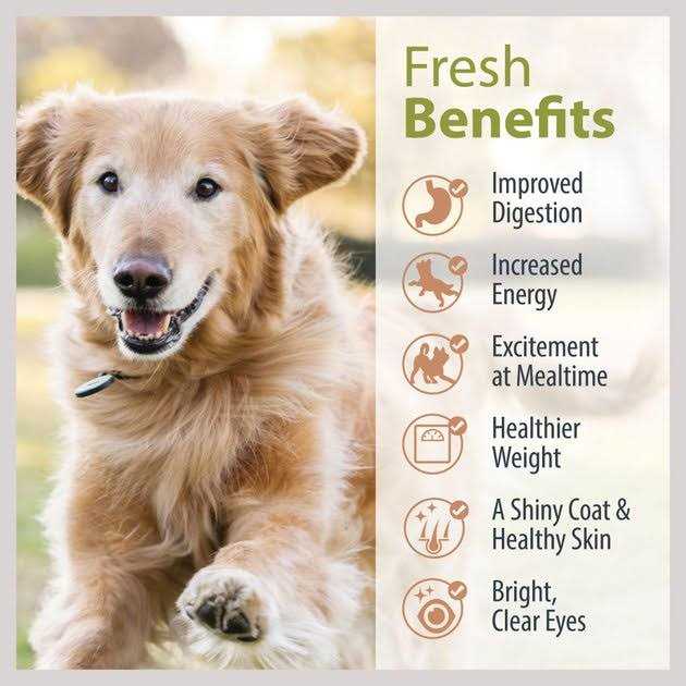 Beef Chicken Variety Pack Dog Fresh Food D662
