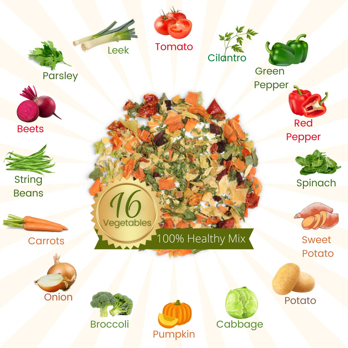 1 Lb Bulk Bag Dehydrated Vegetable Soup Mix B37065