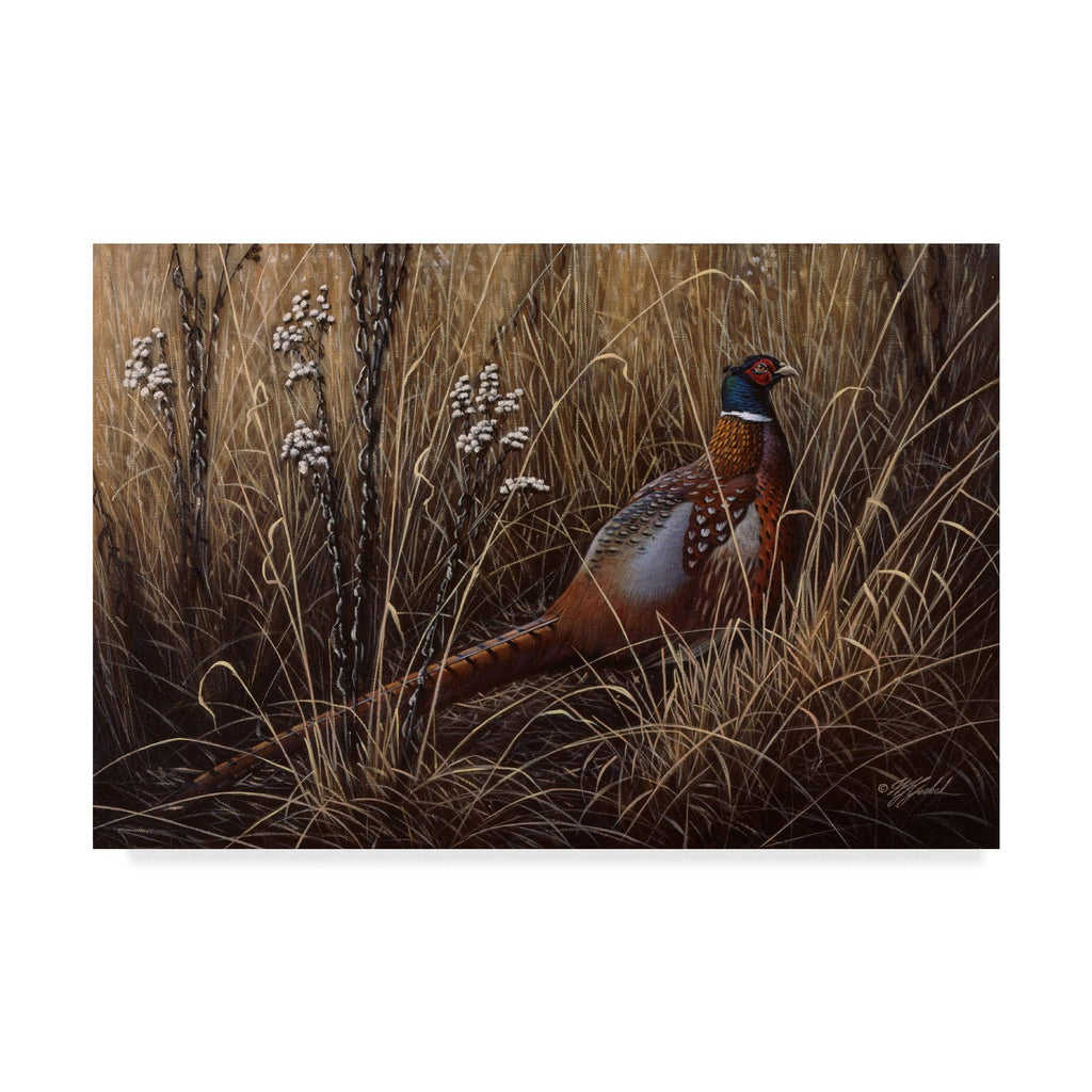 Pheasant in The Grass Art J5447