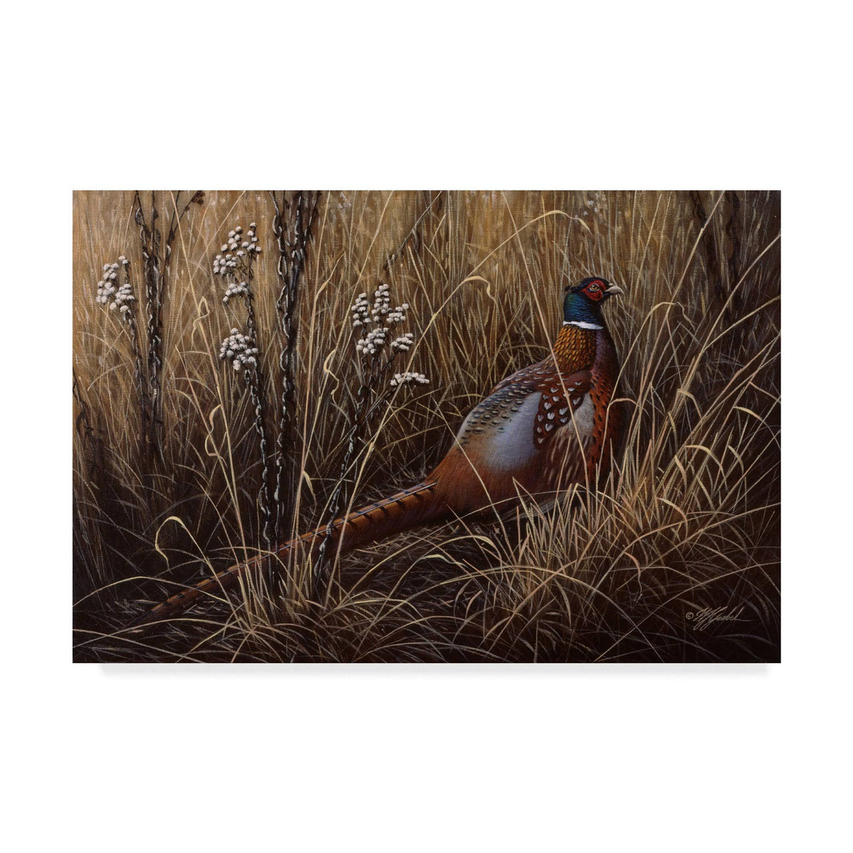 Pheasant in The Grass Art J5447