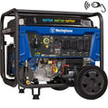 12,500 Peak Watt Dual Fuel Portable Generator A376