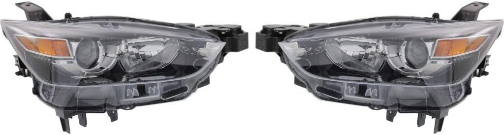 Headlight Assembly Pair Halogen R10767